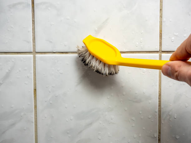  Broken Bow, NE Mold Removal Pros