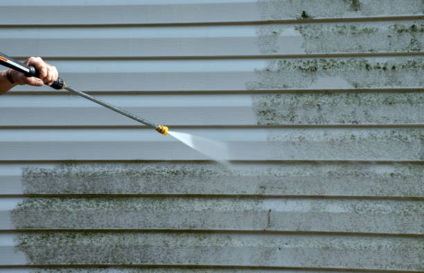 Best Attic Mold Removal  in Broken Bow, NE