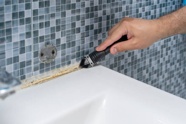 Best Office Mold Removal Services  in Broken Bow, NE