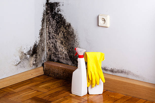 Best Emergency Mold Removal  in Broken Bow, NE