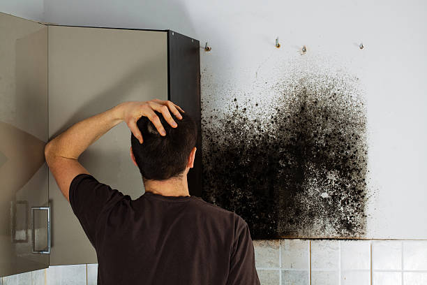Best Toxic Mold Removal  in Broken Bow, NE
