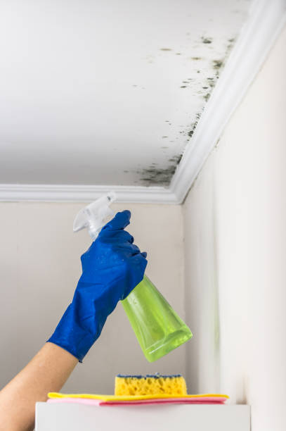 Best Mold Testing  in Broken Bow, NE